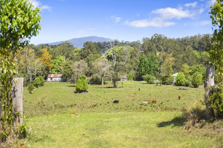 Fourth view of Homely rural property listing, 64 Nana Creek Road, Nana Glen NSW 2450