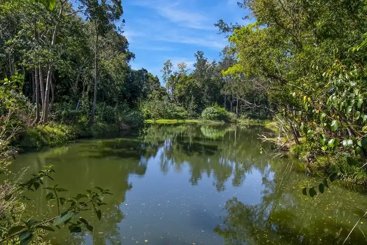 Third view of Homely rural property listing, 1787 Kyogle Road, Uki NSW 2484