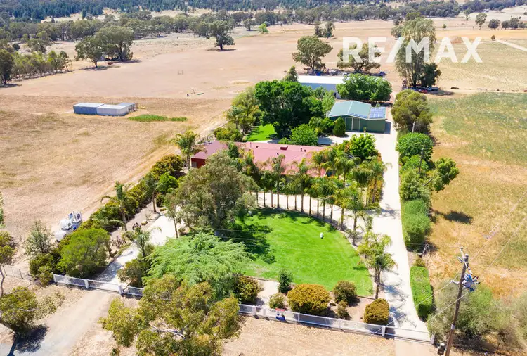 Main view of Homely house listing, 10 Cummins Drive, San Isidore NSW 2650