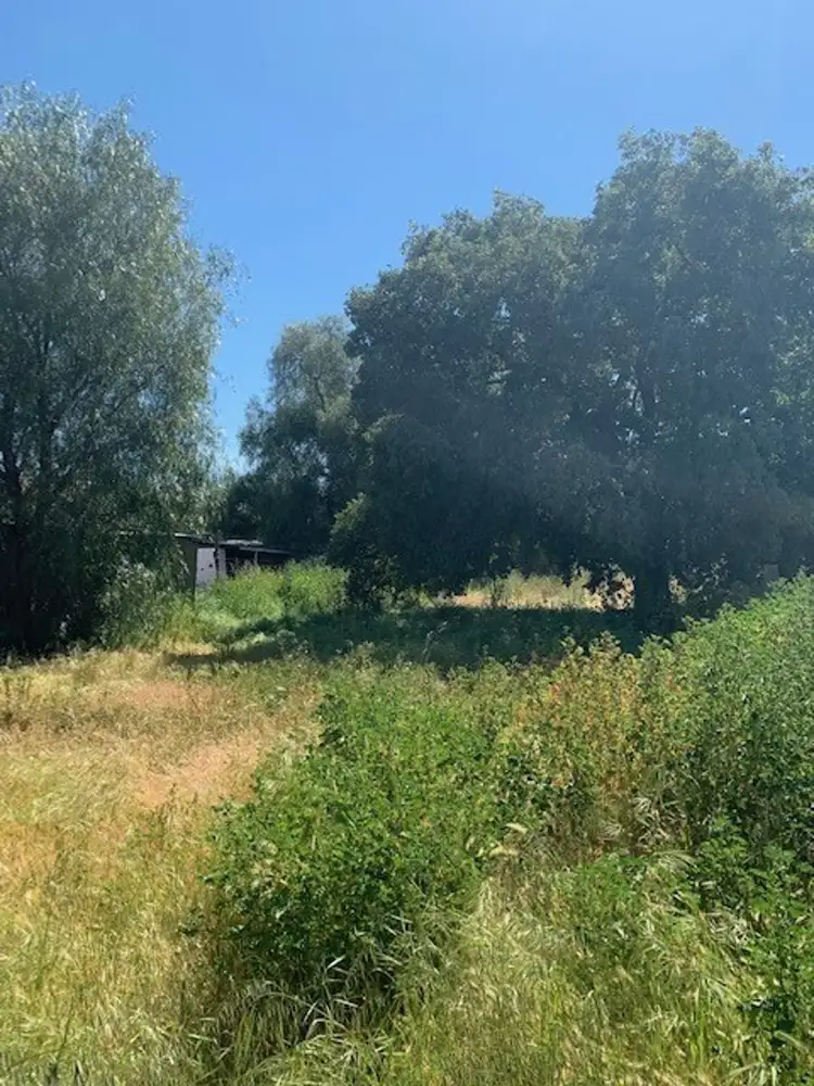 Fourth view of Homely rural property listing, 16 Halliday Street, Charlton VIC 3525