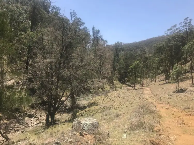 Sixth view of Homely rural property listing, 1 The Irishmans Warlands Creek Road, Blandford NSW 2338