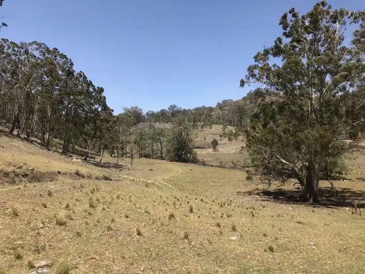 Seventh view of Homely rural property listing, 1 The Irishmans Warlands Creek Road, Blandford NSW 2338