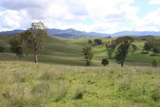 Main view of Homely rural property listing, Address available on request