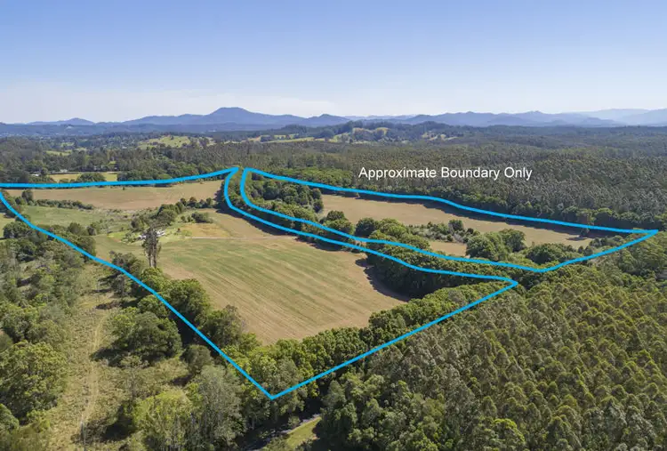 555 Hydes Creek Road, Bellingen NSW 2454