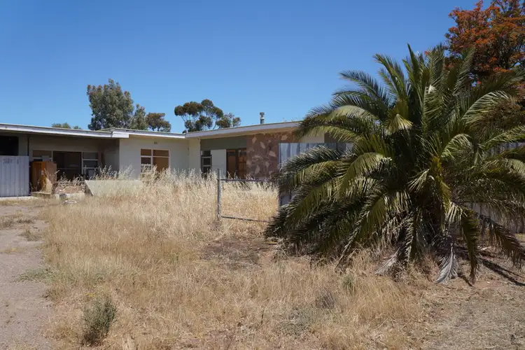 Second view of Homely house listing, 16 Todd Avenue, Murray Bridge SA 5253