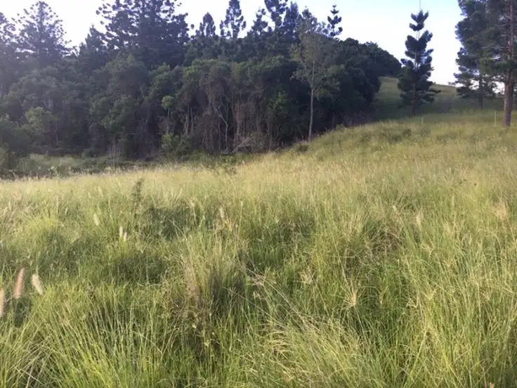 Third view of Homely rural property listing, Lot 5 40 Chitticks Access Road, Caniaba NSW 2480