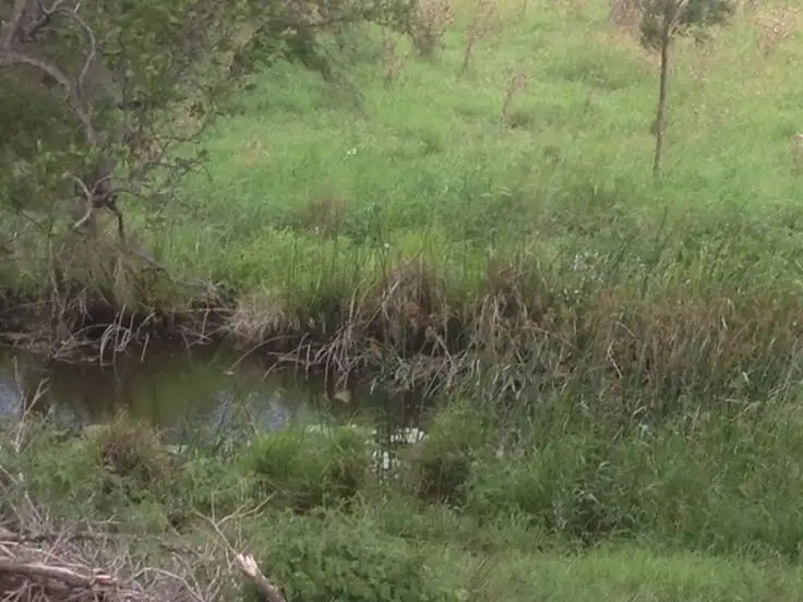 Fourth view of Homely rural property listing, Lot 5 40 Chitticks Access Road, Caniaba NSW 2480