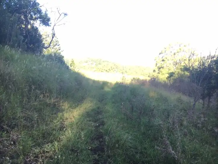 Fifth view of Homely rural property listing, Lot 5 40 Chitticks Access Road, Caniaba NSW 2480