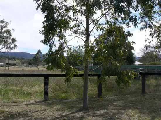 Fourth view of Homely house listing, 65 Raglan Street, Wingen NSW 2337