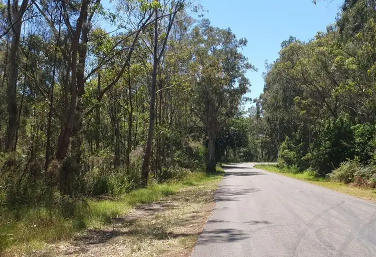 Main view of Homely land listing, 190 Jensen Road, Wadalba NSW 2259