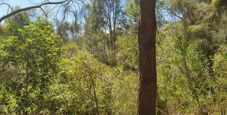 Third view of Homely land listing, 190 Jensen Road, Wadalba NSW 2259