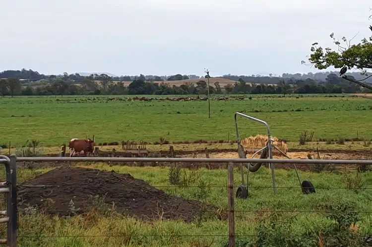 11825 Summerland Way, Fairy Hill NSW 2470