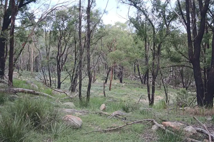 Main view of Homely rural property listing, "Dalys Creek" Mount Mackenzie Road, Tenterfield NSW 2372