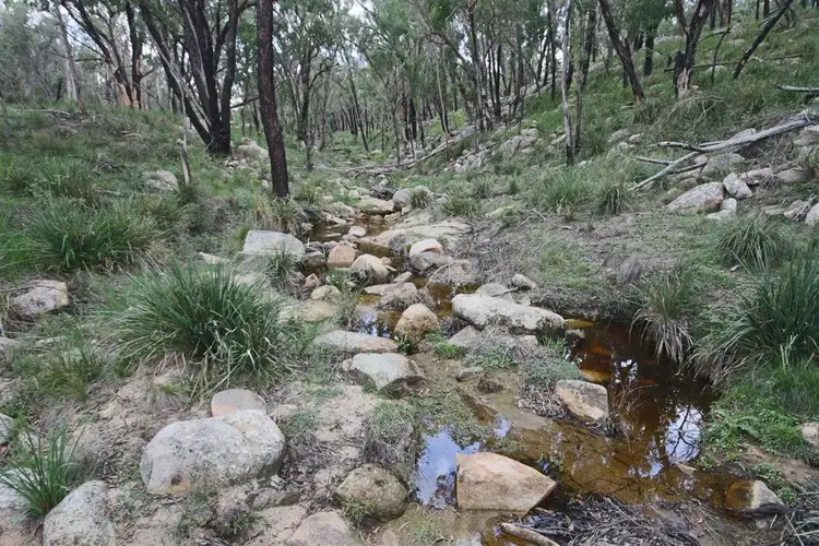 Second view of Homely rural property listing, "Dalys Creek" Mount Mackenzie Road, Tenterfield NSW 2372