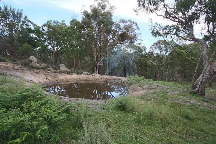 Third view of Homely rural property listing, "Dalys Creek" Mount Mackenzie Road, Tenterfield NSW 2372