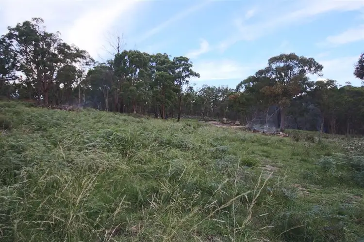Sixth view of Homely rural property listing, "Dalys Creek" Mount Mackenzie Road, Tenterfield NSW 2372
