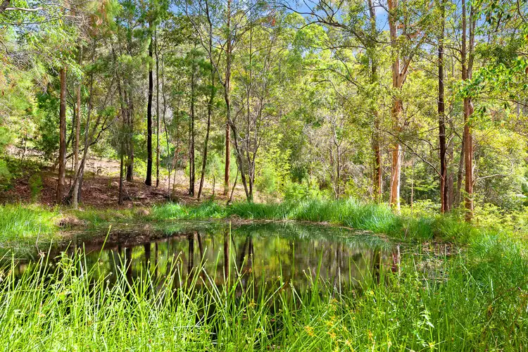 Third view of Homely house listing, 307 Ilkley Road, Ilkley QLD 4554