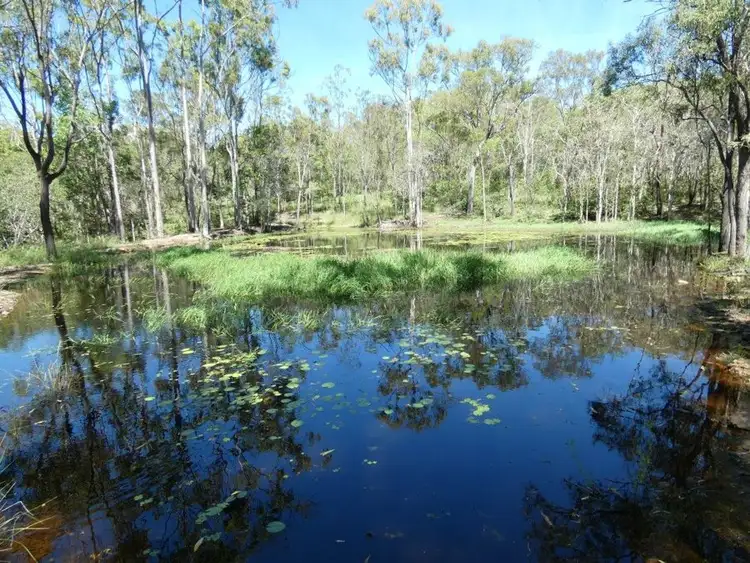 Fourth view of Homely rural property listing, 1019 Tableland Road, Mount Maria QLD 4674