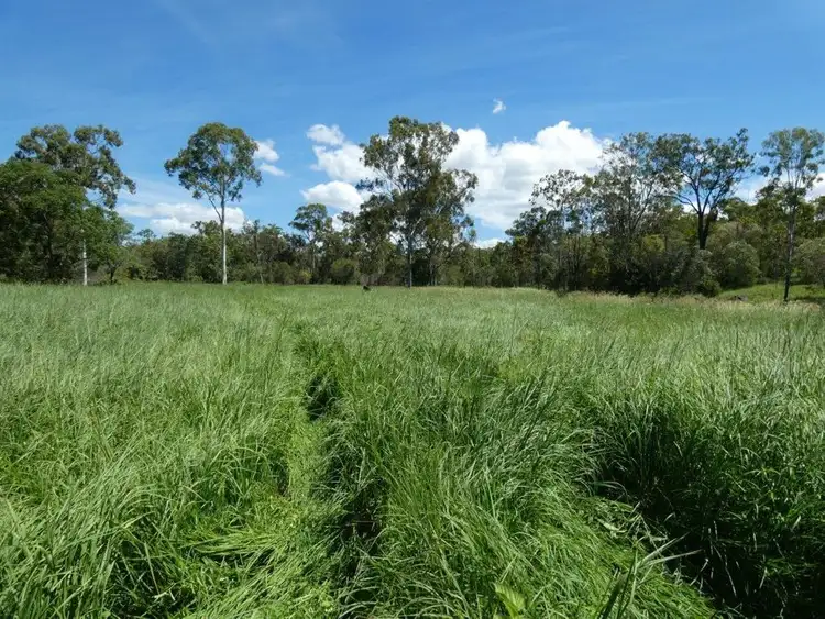 Seventh view of Homely rural property listing, 1019 Tableland Road, Mount Maria QLD 4674