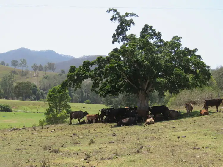 Sixth view of Homely rural property listing, Address available on request