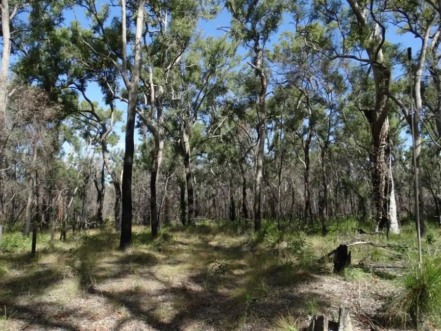 Main view of Homely rural property listing, 83 Deepwater Road, Deepwater QLD 4674
