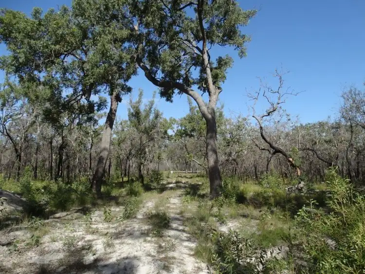 Second view of Homely rural property listing, 83 Deepwater Road, Deepwater QLD 4674