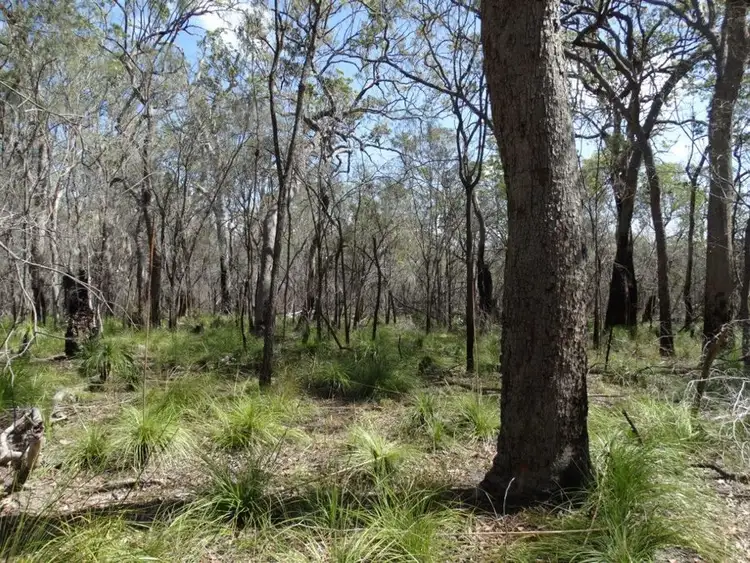 Fourth view of Homely rural property listing, 83 Deepwater Road, Deepwater QLD 4674