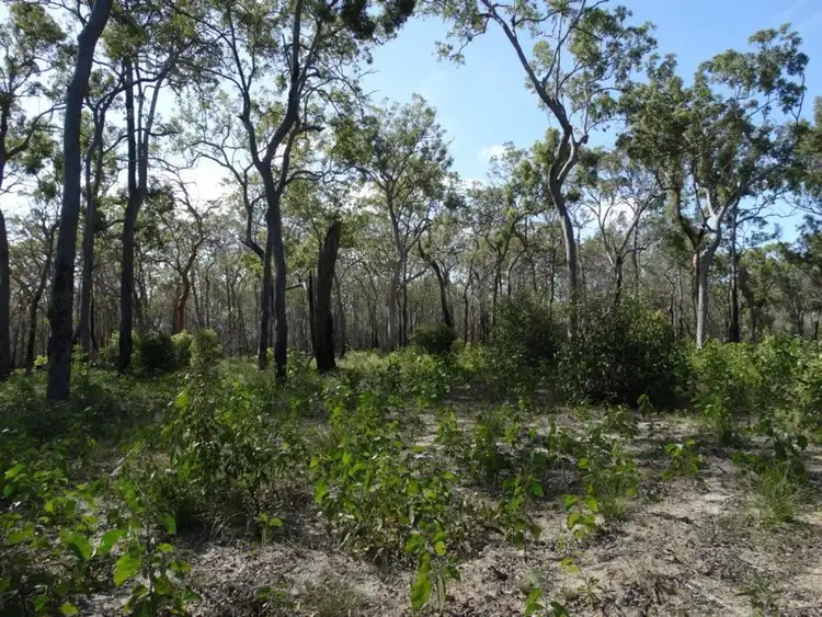 Sixth view of Homely rural property listing, 83 Deepwater Road, Deepwater QLD 4674