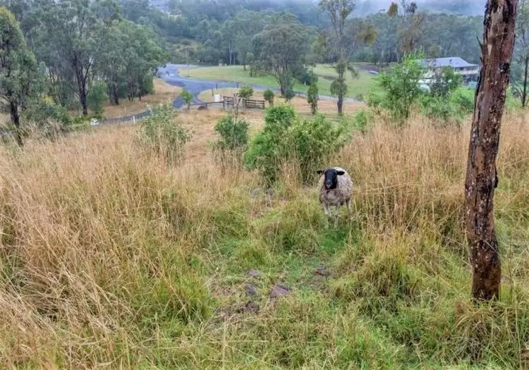 Third view of Homely rural property listing, 10 Traverston Court, Preston QLD 4352