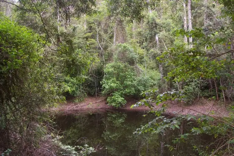 Fifth view of Homely rural property listing, LOT 3 Echidna Rd, Valla NSW 2448