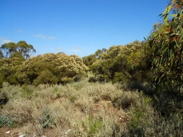 Lot 1 Havelberg, Black Hill SA 5353