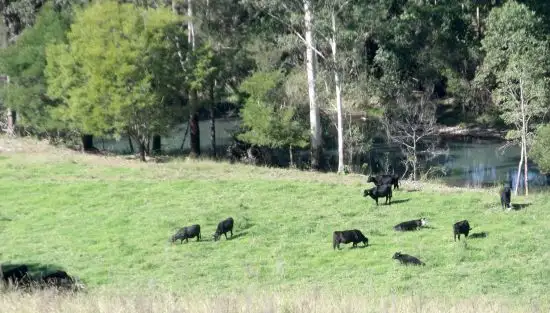 Seventh view of Homely rural property listing, Address available on request