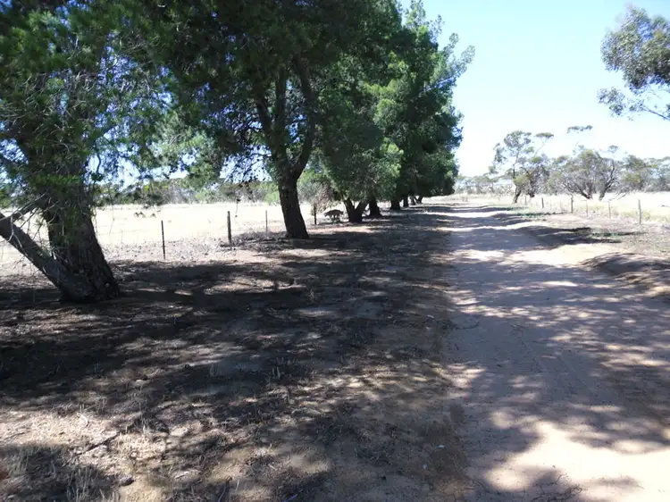 Fourth view of Homely rural property listing, 35 Stones Track, Karoonda SA 5307