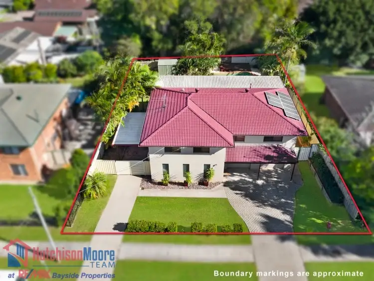 Main view of Homely house listing, 71 Vienna Road, Alexandra Hills QLD 4161