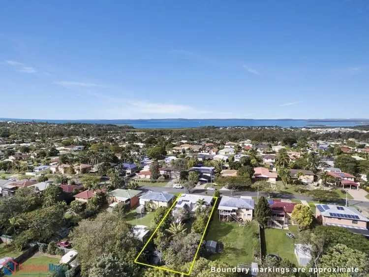 19 Drevesen Avenue, Cleveland QLD 4163