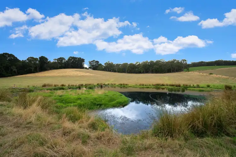 Seventh view of Homely house listing, 65 McLaughlins Road, Barwon Downs VIC 3243