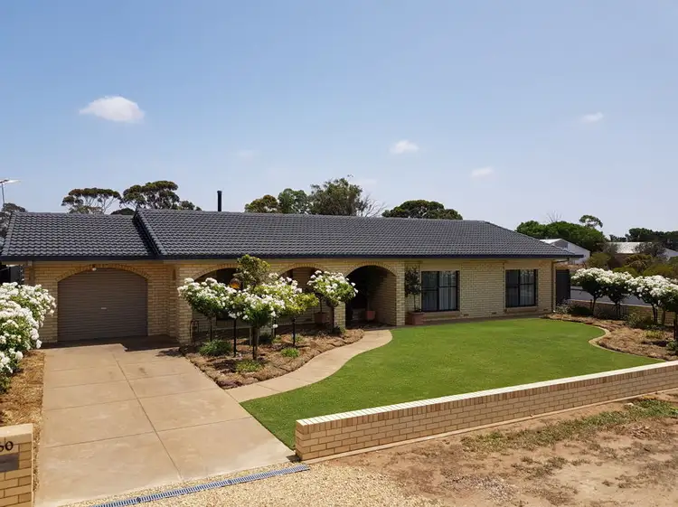 Main view of Homely house listing, 60 Mitchell Avenue, Murray Bridge SA 5253