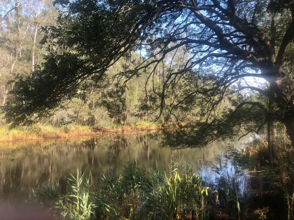 Main view of Homely rural property listing, Lot 52 of  583 Maria River Road, Crescent Head NSW 2440