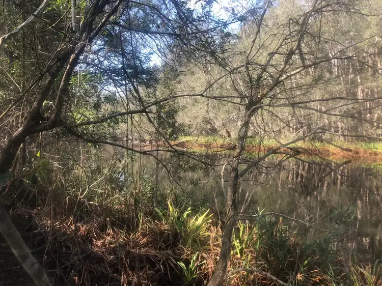 Fifth view of Homely rural property listing, Lot 52 of 583 Maria River Road, Crescent Head NSW 2440