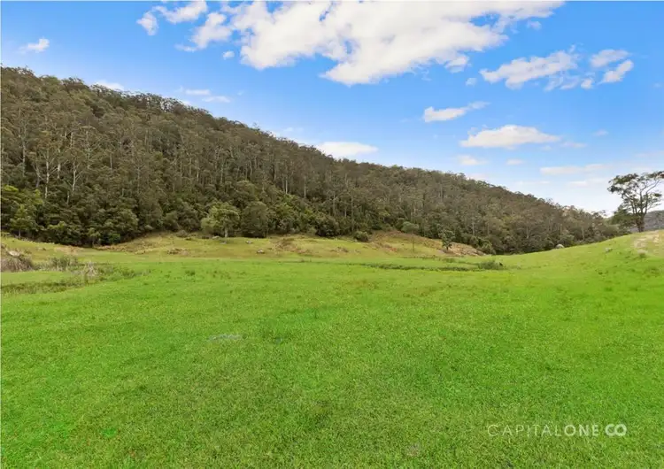 Second view of Homely land listing, 130 Spring Gully Lane, Cedar Brush Creek NSW 2259