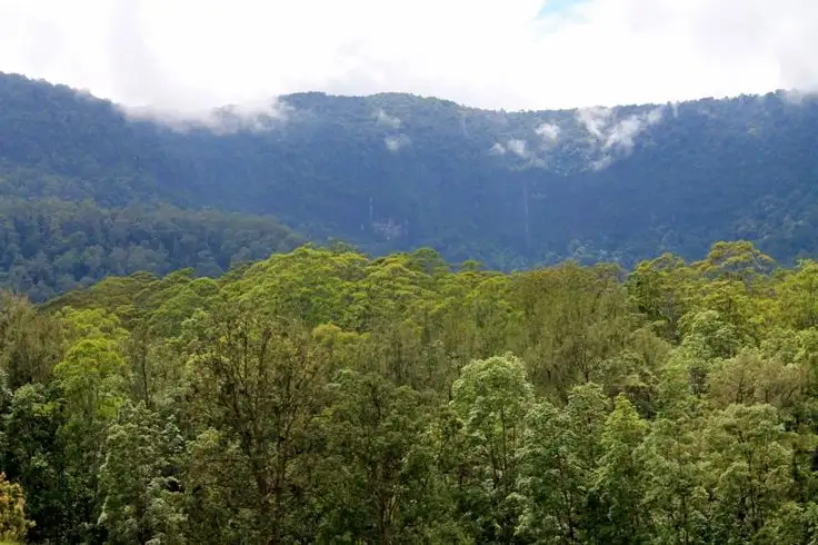 Third view of Homely rural property listing, 1076 Green Pigeon Road - Green Pigeon, Kyogle NSW 2474