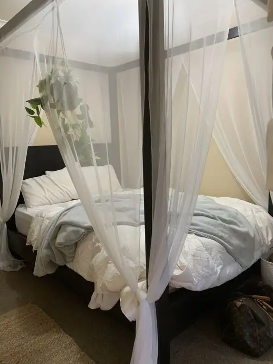 Seventh view of Homely unit listing, 8-1 Bergin Road, Innisfail QLD 4860