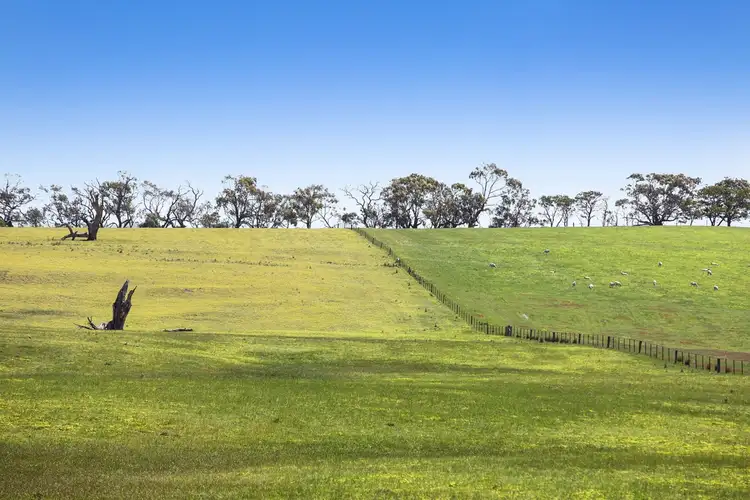 Fourth view of Homely rural property listing, Spring Hill Road, Skipton VIC 3361