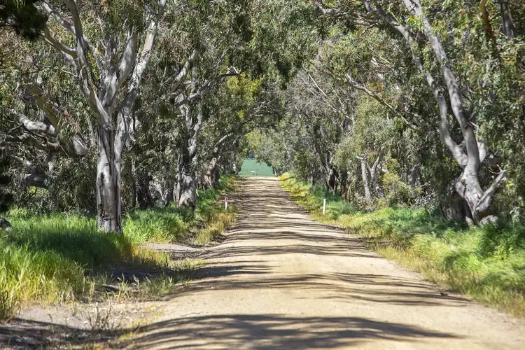 Fifth view of Homely rural property listing, Spring Hill Road, Skipton VIC 3361