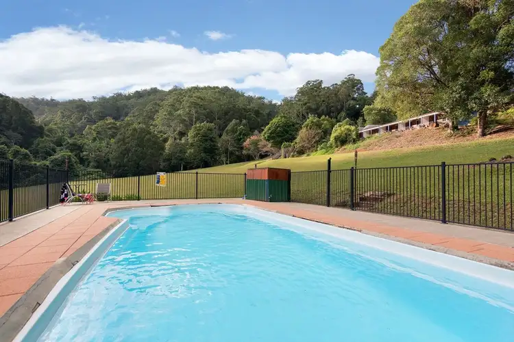 Fourth view of Homely rural property listing, 460 Byrrill Creek Rd, Byrrill Creek NSW 2484