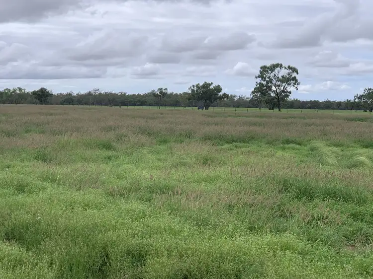 Third view of Homely rural property listing, "Wombian" & "Boonewell", Collarenebri NSW 2833