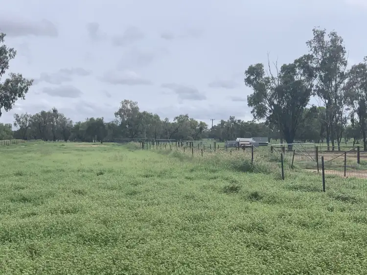 Fourth view of Homely rural property listing, "Wombian" & "Boonewell", Collarenebri NSW 2833