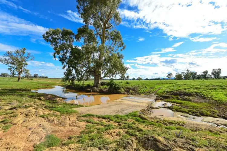 Sixth view of Homely rural property listing, 821 Wallamore Road, Wallamore NSW 2340