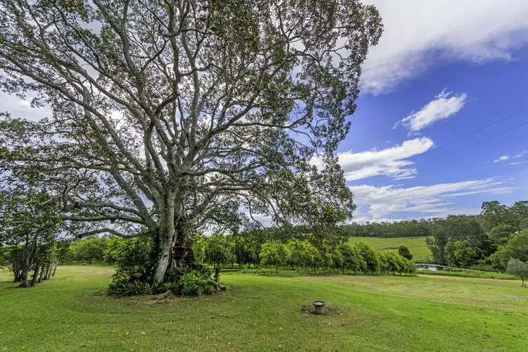 Fourth view of Homely rural property listing, 66 Jones Road, Eungai Rail NSW 2441