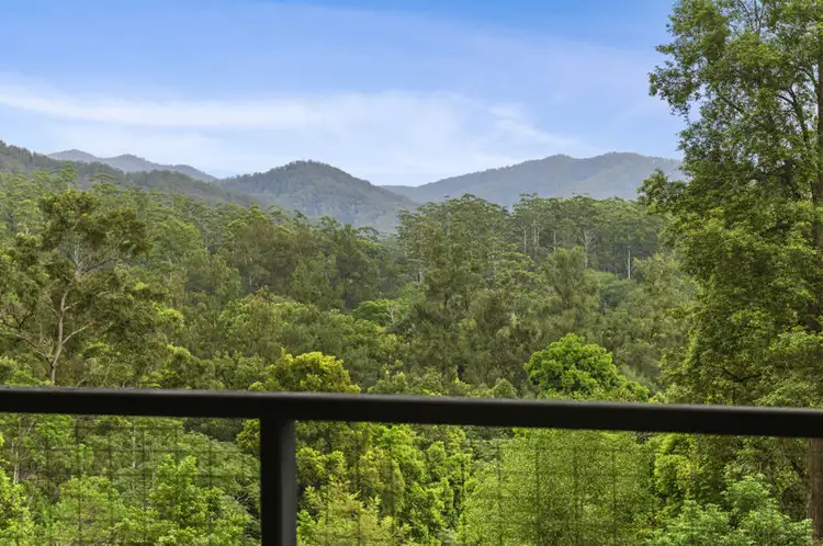 1772 Kalang Road, Bellingen NSW 2454